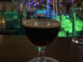 The Wandering Tortoise