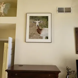 This Gizzelle is a beuty and deserve's to be seen with proper framing.