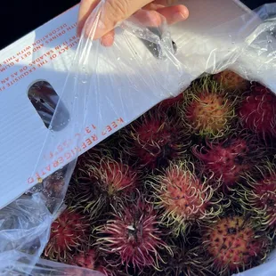 Rambutans