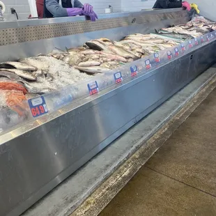 two people in a fish shop