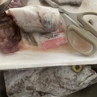 Beltfish stuffed with smaller fish to add weight