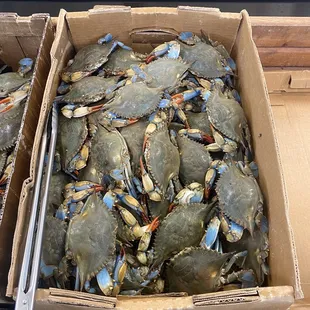 a box of blue crabs