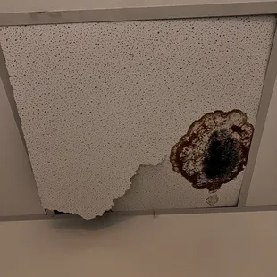 Ceiling in restroom...