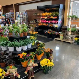 Floral dept at entrance