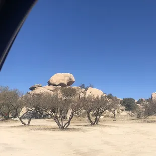 Beauty of the Dragoon