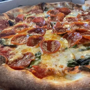 I love you Diavola!  Please come back to my belly soon!