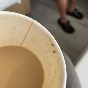 Horchata Latte with an ant.