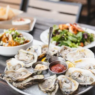 Oysters