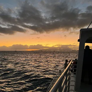Night dive