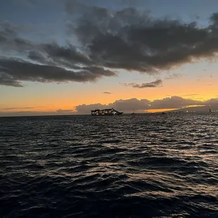 Night dive