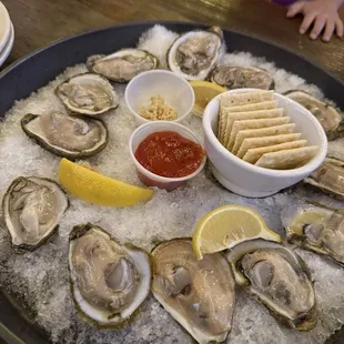 Oysters