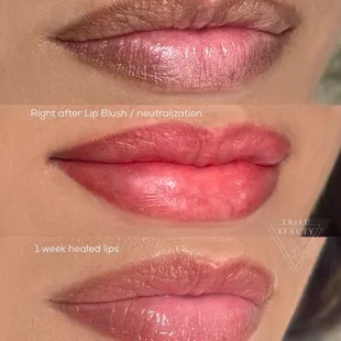 Lip blush process