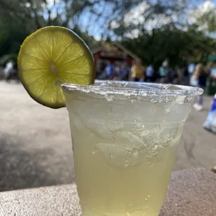 50th Golden Margarita