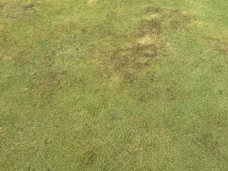 Dry Creek Ranch Golf Club