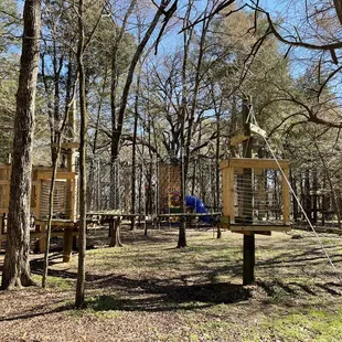 Out on a limb play area