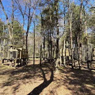 Out on a limb play area