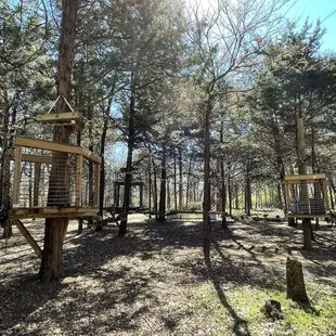 Out on a limb play area