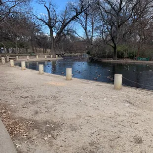 Visiting the ducks and geese