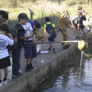 Kids scoop critters out of the pond.