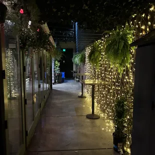 a walkway lined with christmas lights