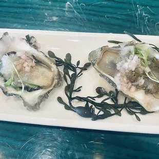 Oysters
