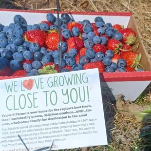 Pick-your-own berries.