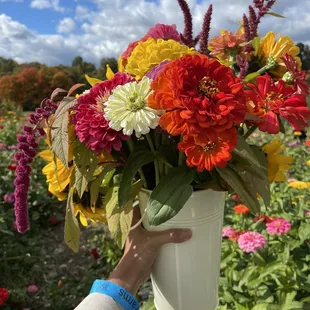 Bucket full of fall flowers in season