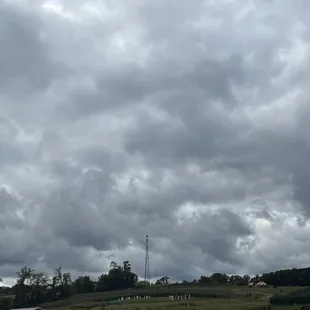 Taking my sibling for a pumpkin path