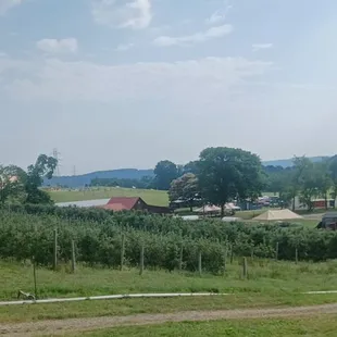 Beautiful farm