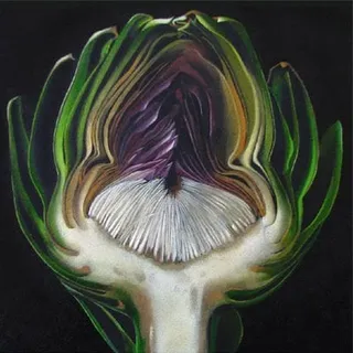 Artichoke D.