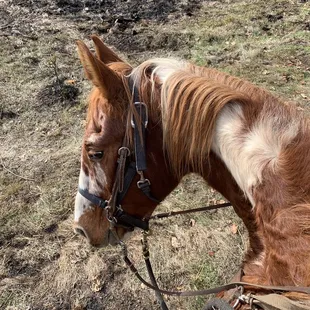 Sunny is so handsome