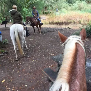 Dominic on Annie &amp; my mom on Ellie! (Not pictured: Dioko trying to eat the picnic table)