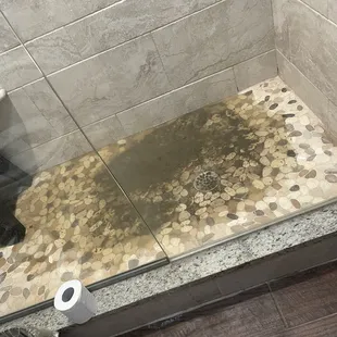 Master shower backup