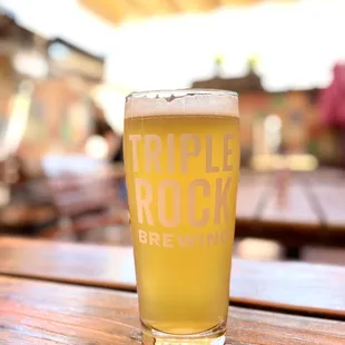 Citrus Bird, Session Pale Ale, 4.4%