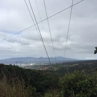 Where the city meets nature