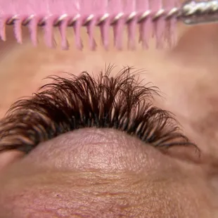 Brown Lashes