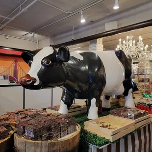 I like Moo cows. Cows that go MOOO