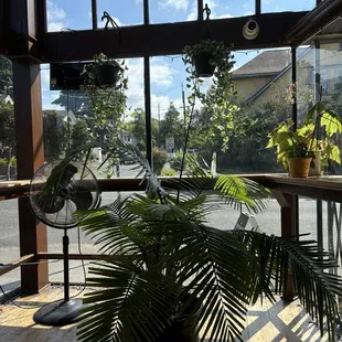 ramen and noodles, interior