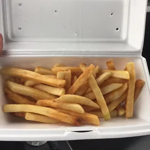 Generous portion of fresh and hot fries