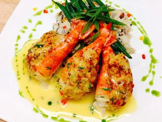 Nemo Grille