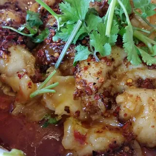 H05. Boiled Fish with Vegetable in Chili Sauce