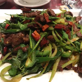 H10.  Sichuan Lamb