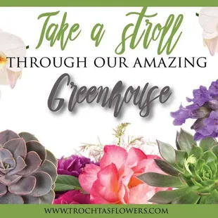 Many of the plants at Trochta's are grown right here within our own greenhouses. We offer both on-site residential and business planting