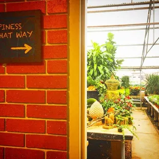 Have you ever visited our Greenhouse? It is open 8-5 Monday-Friday and 8-4 on Saturday. We have a wide section of plants.