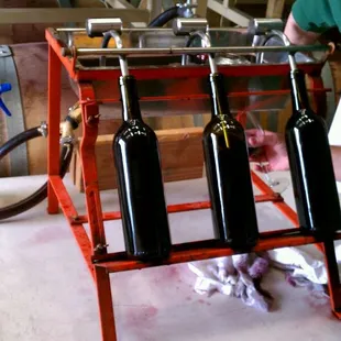 Bottling the '09 Cabernet!