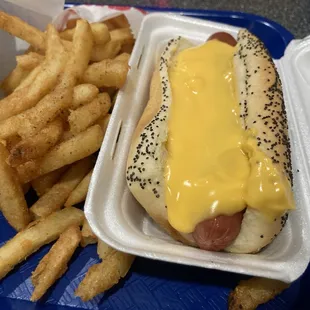 a hot dog with mustard and french fries