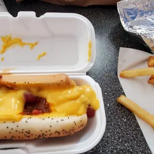 Chili cheese dog &amp; fries