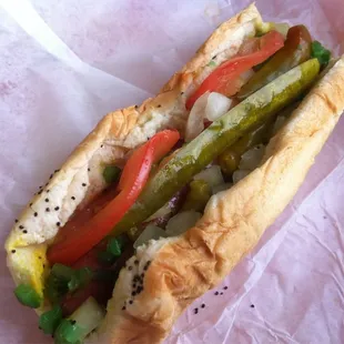 Chicago style dog.