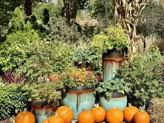 Franklin Park Conservatory & Botanical Gardens