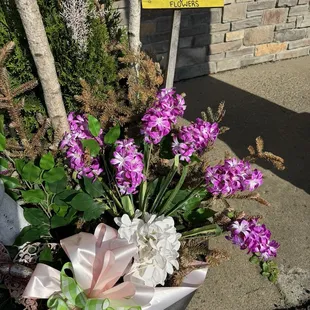 interior, sushi and sashimi